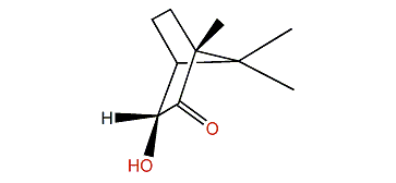 (1S,3S,4R)-3-Hydroxy-1,7,7-Trimethylbicyclo[2.2.1]heptan-2-one