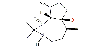1b-Hydroxyalloaromadendrene