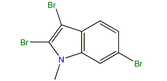 1-Methyl-2,3,6-tribromo-1H-indole