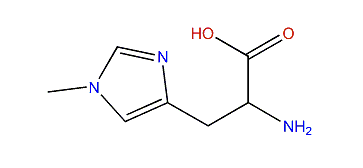 2-Amino-3-(1-methyl-1H-imidazol-4-yl)-propanoic acid