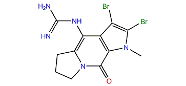 1-N-Methylugibohlin