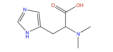 2-(Dimethylamino)-3-(1H-imidazol-5-yl)-propanoic acid
