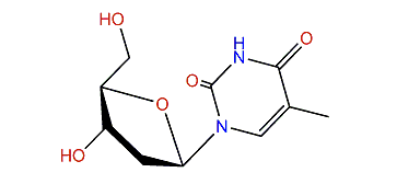 2'-Deoxy-3-methyluridine