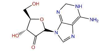 2'-Deoxyisoguanosine