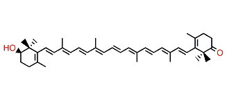 2'-Hydroxy-beta,beta-caroten-2-one