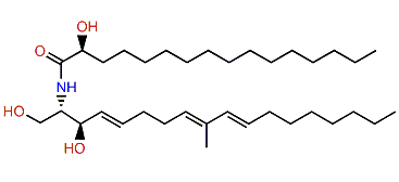 (2'R)-Hydroxy-N-palmitoyl-D-erythro-(2S,3R)-9-methyloctadecasphinga-(E4,E8,E10E)-trienine
