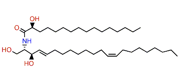 (2'R)-Hydroxy-N-palmitoyl-D-erythro-(2S,3R)-docosasphinga-(E4,Z13)-dienine