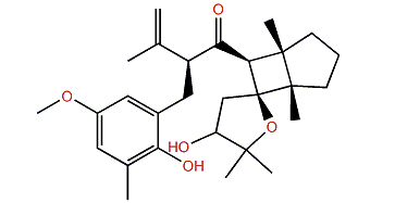 2,12-Diepineobalearone