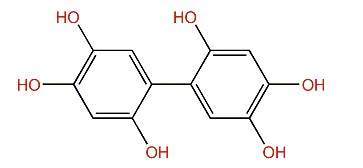2,2',4,4',5,5'-Hexahydroxybiphenyl