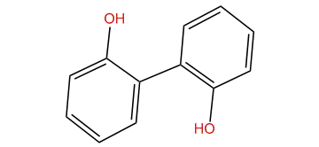 2,2'-Biphenyldiol
