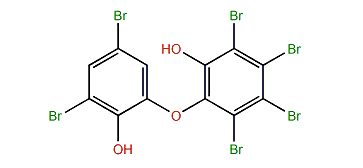 2,3,4,5-Tetrabromo-6-(3,5-dibromo-2-hydroxyphenoxy)-phenol