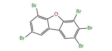 2,3,4,6,8-Pentabromodibenzofuran