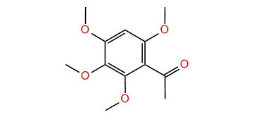 2,3,4,6-Tetramethoxy-acetophenone