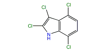 2,3,4,7-Tetrachloro-1H-indole