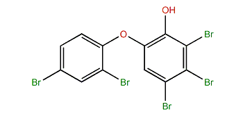 2,3,4-Tribromo-6-(2,4-dibromophenoxy)-phenol