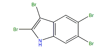 2,3,5,6-Tetrabromo-1H-indole