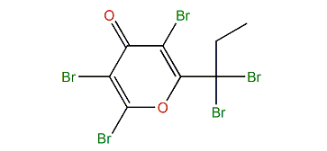 2,3,5-Tribromo-6-(1,1-dibromopropyl)-4H-pyran-4-one