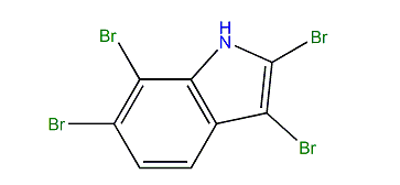 2,3,6,7-Tetrabromo-1H-indole