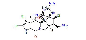 2,3-Dibromostyloguanidine