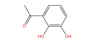 2,3-Dihydroxyacetophenone