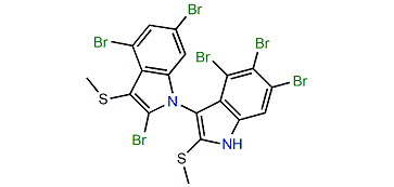 2,4,4',5',6,6'-Hexabromo-2',3-bis(methylthio)-1,3'-bi-1H-indole