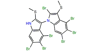 2,4,4',5,5',6,6'-Heptabromo-2',3-bis(methylthio)-1,3'-bi-1H-indole