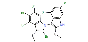 2,4,4',5,6,6'-Hexabromo-2',3-bis(methylthio)-1,3'-bi-1H-indole