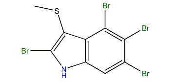2,4,5,6-Tetrabromo-3-methylthio-1H-indole