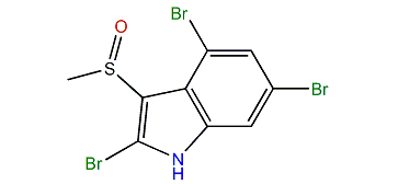 2,4,6-Tribromo-3-(methylsulfinyl)-1H-indole