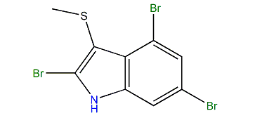 2,4,6-Tribromo-3-methylthio-1H-indole