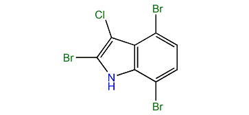 2,4,7-Tribromo-3-chloro-1H-indole