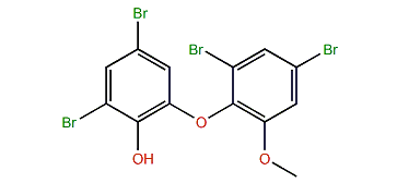 2,4-Dibromo-6-(2,4-dibromo-6-methoxyphenoxy)-phenol
