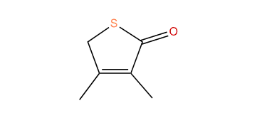 2,5-Dihydro-3,4-dimethylthiophen-2-one
