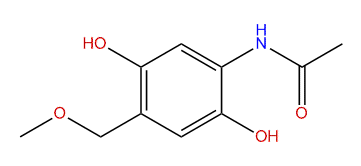2,5-Dihydroxy-4-methoxymethylacetanilide