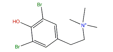 2,6-Dibromo-4-(2-(trimethylammonium)ethyl)-phenol