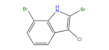 2,7-Dibromo-3-chloro-1H-indole