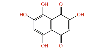 2,5,7,8-Tetrahydroxy-1,4-naphthoquinone