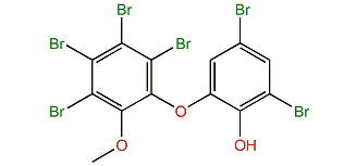 2-(3',4',5',6'-Tetrabromo-2'-methoxyphenoxy)-4,6-dibromophenol