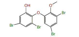 2-(3,5-Dibromo-2-methoxyphenoxy)-3,5-dibromophenol