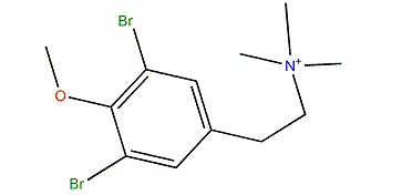 2-(3,5-Dibromo-4-methoxyphenyl)-N,N-N-dimethylethanammonium