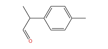 2-(4-Methylphenyl)-propanal