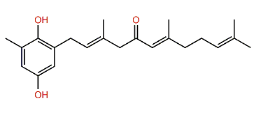 2-(2'E,6'E)-5'-Oxo-3',7',11'-trimethyldodeca-2',6'10'-trienyl-6-methylhydroquinone