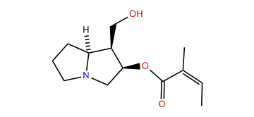 2-O-Angelylpetasinecine
