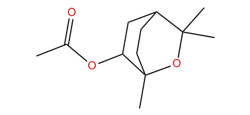 1,3,3-Trimethyl-2-oxabicyclo[2.2.2]octan-6-yl acetate