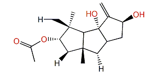2-Acetoxy-9(12)-capnellene-8b,10a-diol
