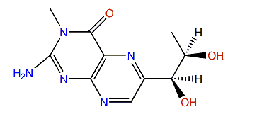 2-Amino-6-(1,2-dihydroxypropyl)-3-methylpterin-4-one