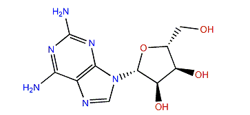 2-Aminoadenosine