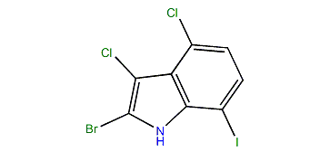 2-Bromo-3,4-dichloro-7-iodo-1H-indole