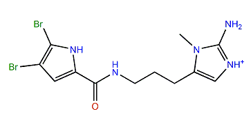 2-Bromo-9,10-dihydrokeramadine