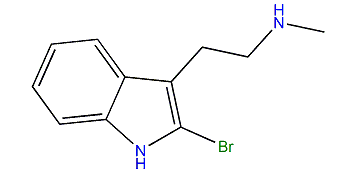 2-Bromo-N-methyl-1H-indole-3-ethanamine